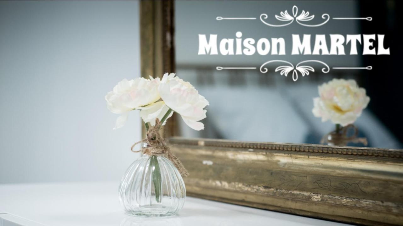 Maison Martel Nimes Centre Climatise エクステリア 写真