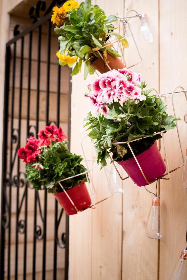 Maison Martel Nimes Centre Climatise エクステリア 写真